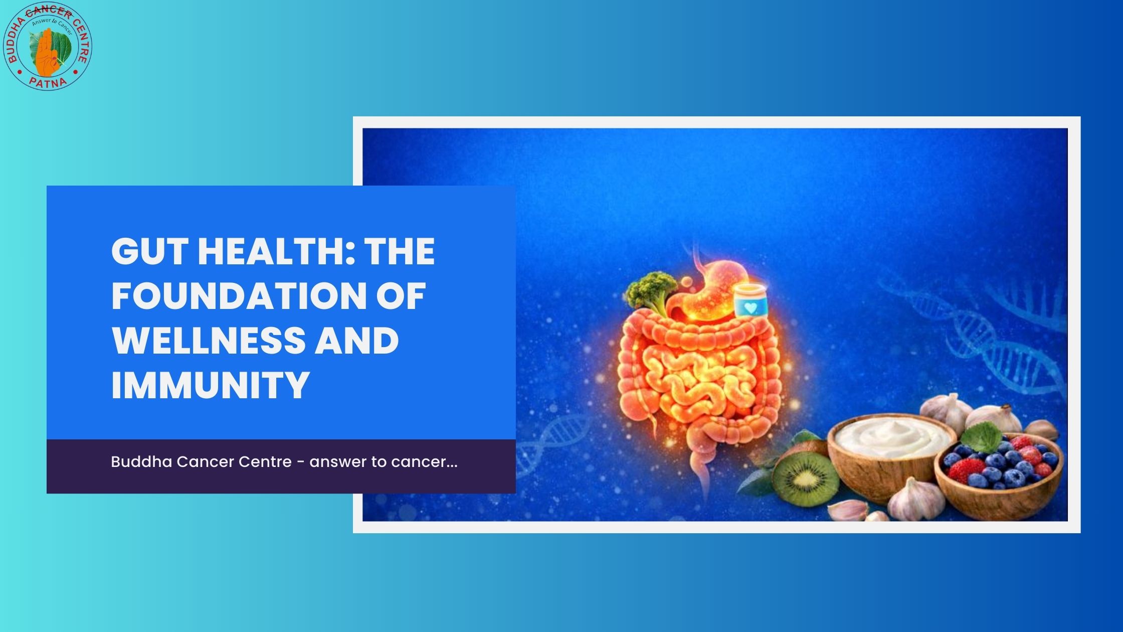 Gut Health: The Foundation of Wellness and Immunity